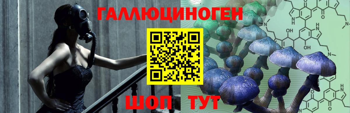 Галлюциногенные грибы Magic Shrooms  Вход с VPN  Псилоцибиновые грибы MAGIC MUSHROOMS  Заводоуковск 
